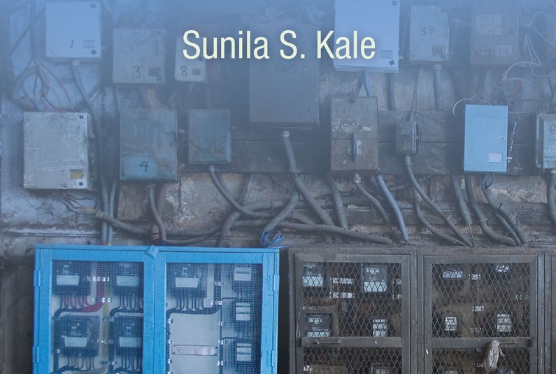 Electrifying India